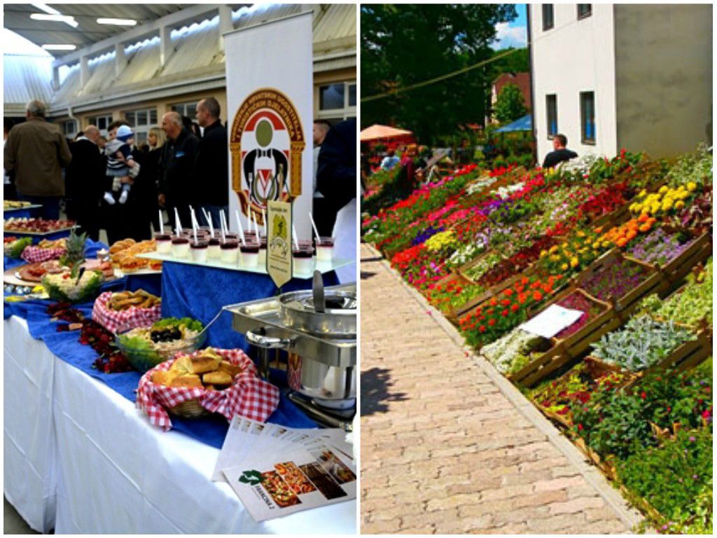 JAVNI POZIV ZA ISKAZIVANJE INTERESA ZA OBAVLJANJE UGOSTITELJSKIH USLUGA I POSTAVLJANJA POKRETNIH ZABAVNIH  PARKOVA NA MANIFESTACIJI GASTROFLORA 2026.