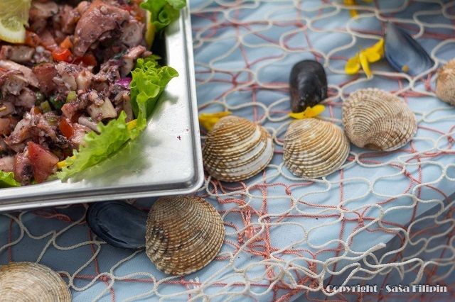 GastroFlora 2016