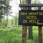 Prvi hotel za pčele na OPG Balja!