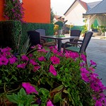 "Moslavina, moj zavičaj" - proglašene najljepše okućnice